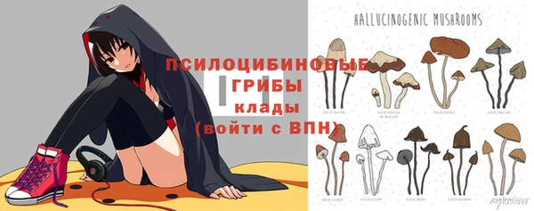 бошки Алексеевка